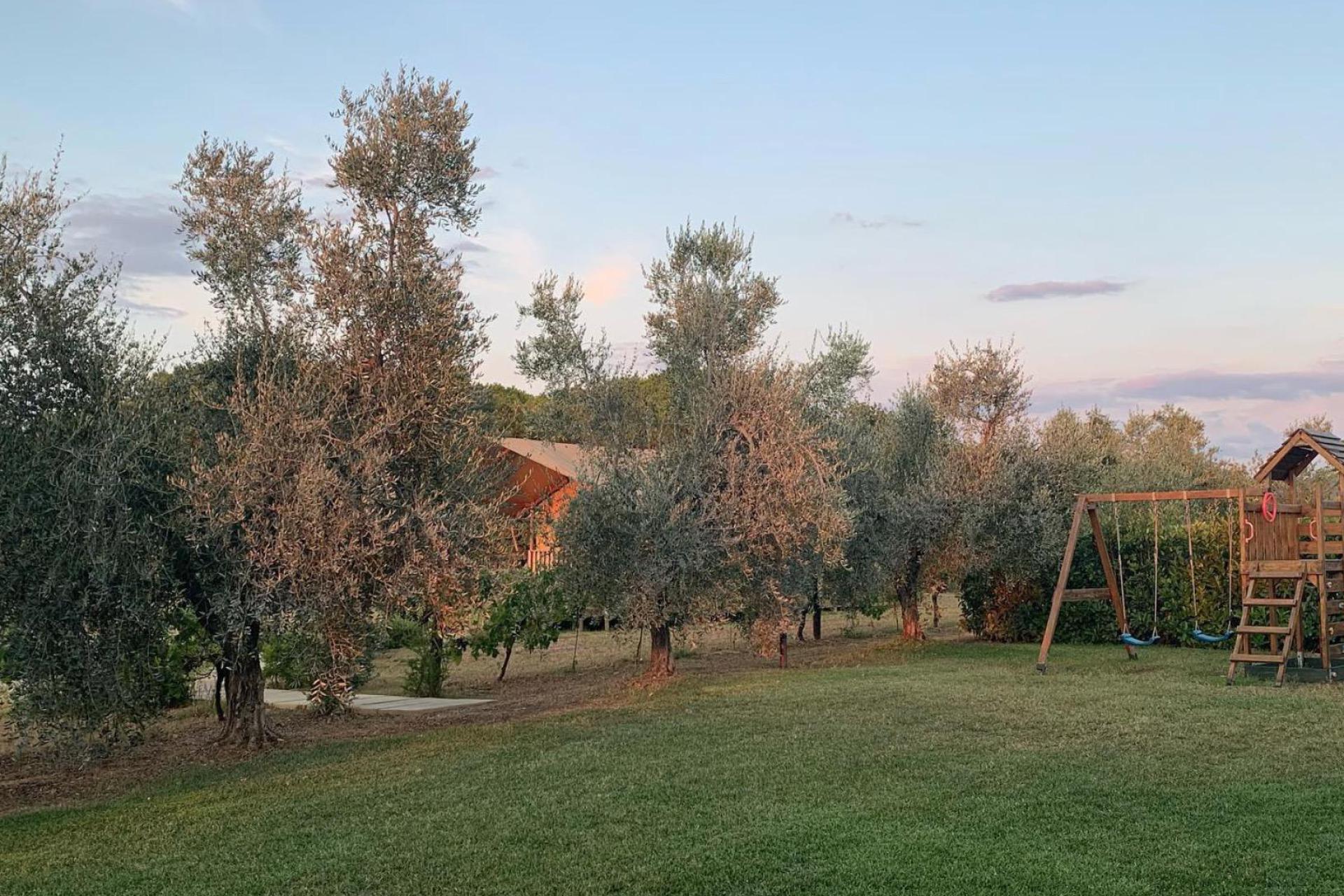 Agriturismo Tuscany Quiet agriturismo in Tuscany between vineyards