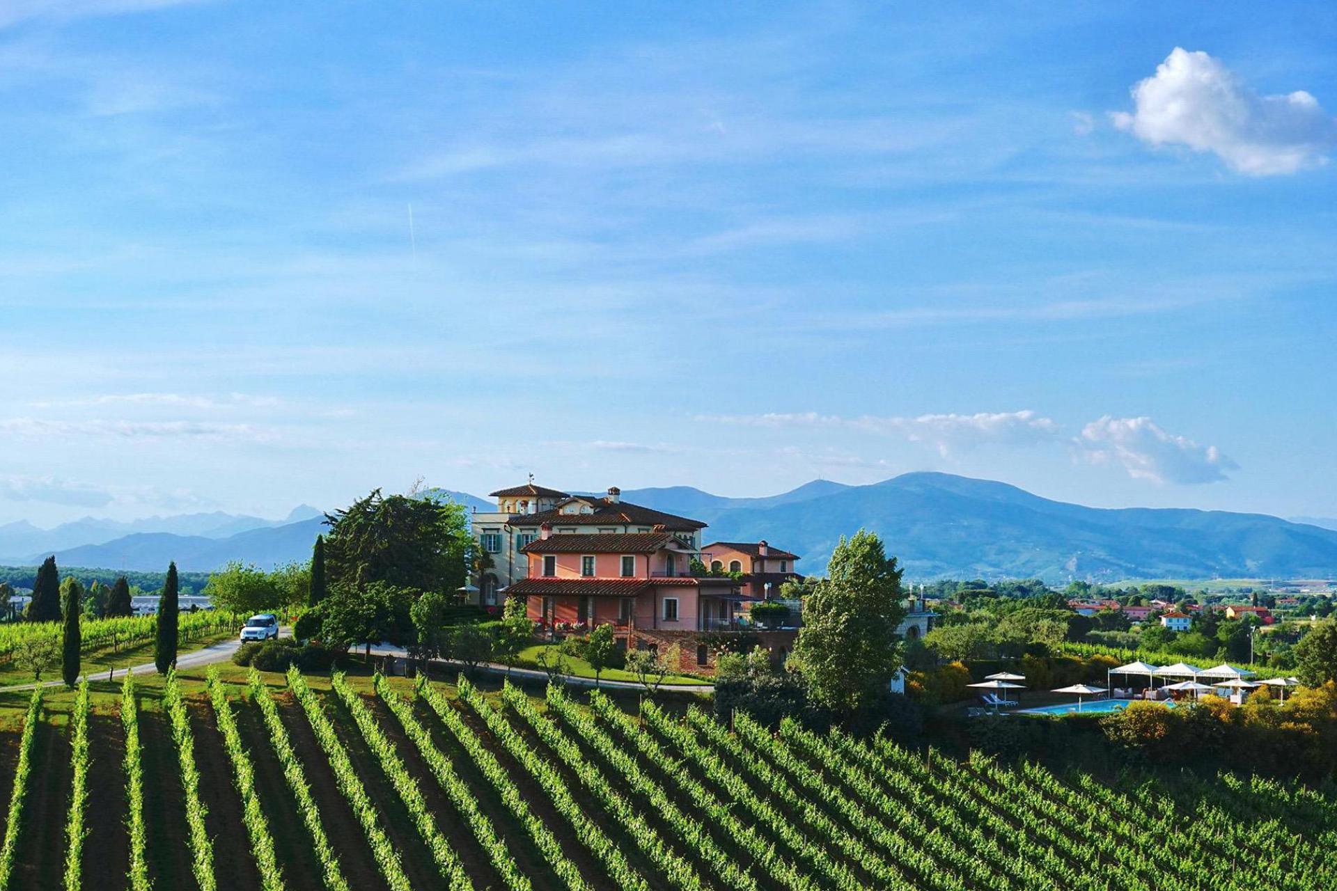1. Luxury and prestigious winery near Pisa