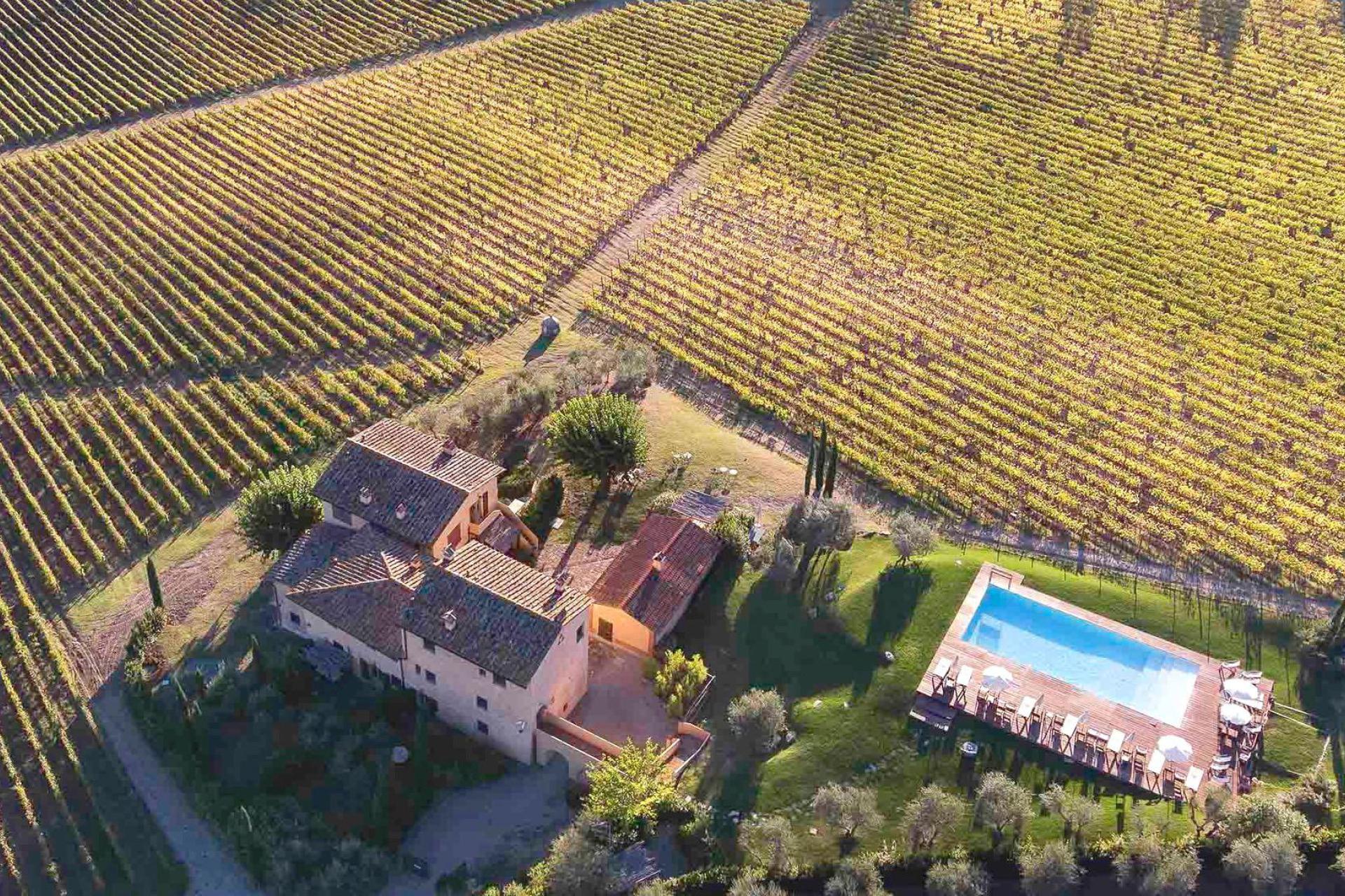 Cozy wine farm near Florence